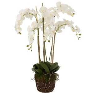 Umělá květina J-Line Maryath Orchid 104 cm